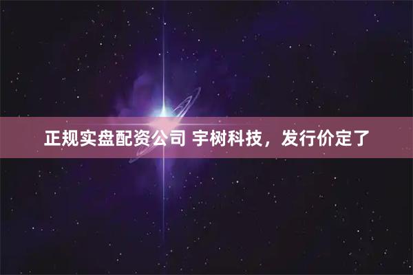 正规实盘配资公司 宇树科技，发行价定了